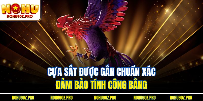 Cựa sắt được gắn chuẩn xác, đảm bảo tính công bằng