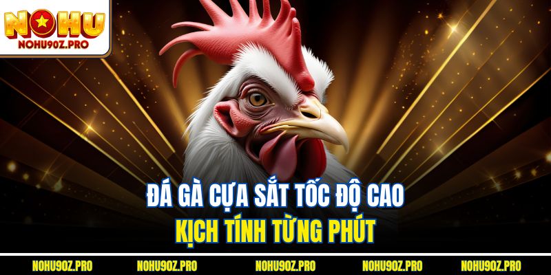 Đá gà cựa sắt tốc độ cao, kịch tính từng phút.